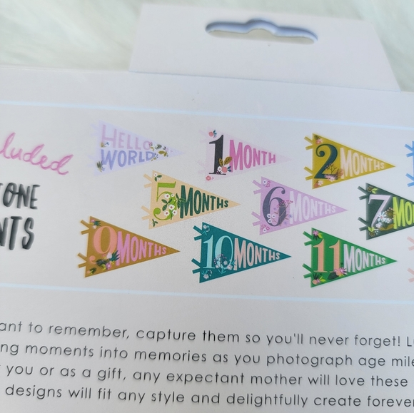 2/$20 Little Artist Milestone Pennants - Picture 6 of 15